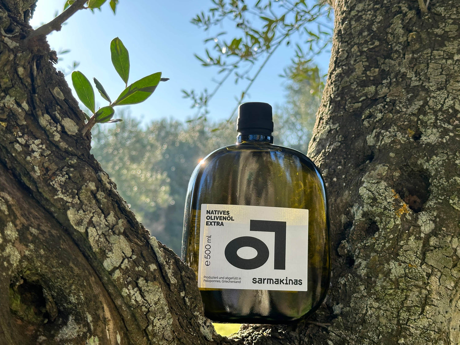 Flasche Sarmakinas Olivenöl, eingebettet zwischen den Ästen eines alten Olivenbaums im Sonnenlicht eines griechischen Hains – mediterrane Handarbeit direkt vor Ort.