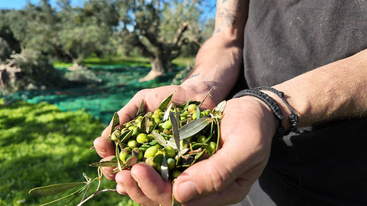 Handarbeit, die man schmeckt – warum echte Qualität Zeit braucht